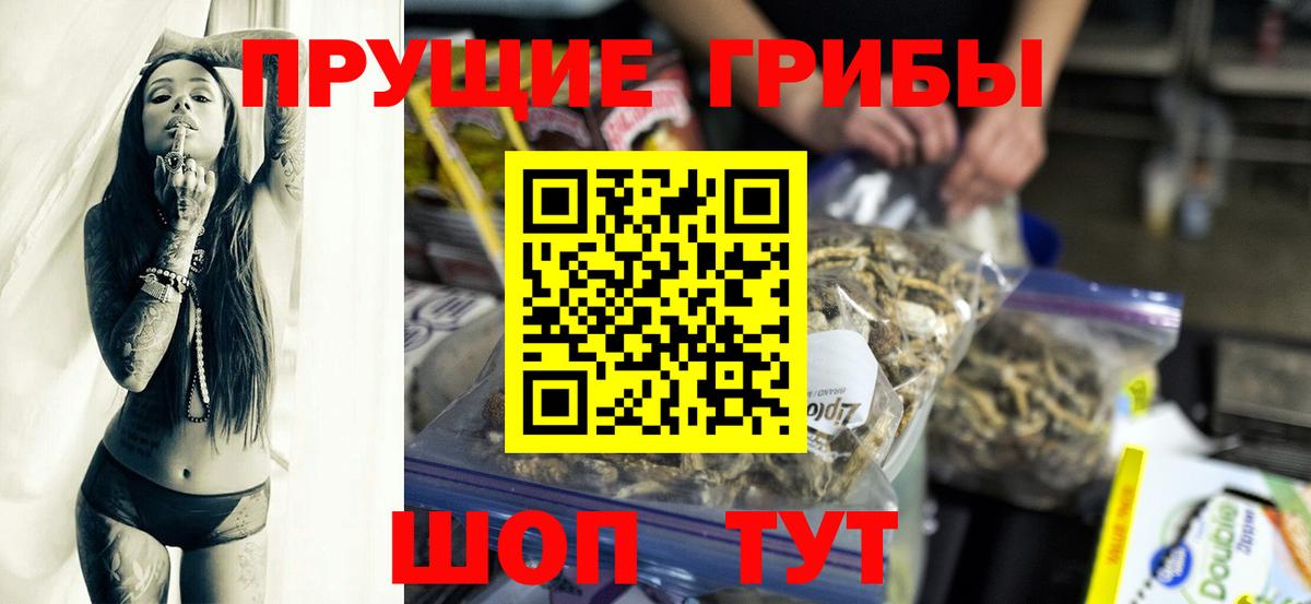 Псилоцибиновые грибы Cubensis  Вход с VPN  Арсеньев 
